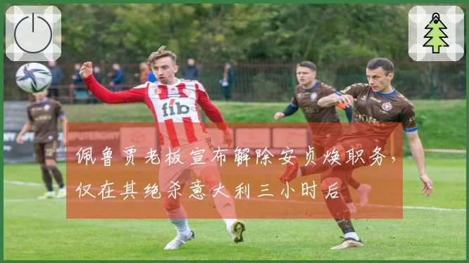 佩鲁贾老板宣布解除安贞焕职务，仅在其绝杀意大利三小时后